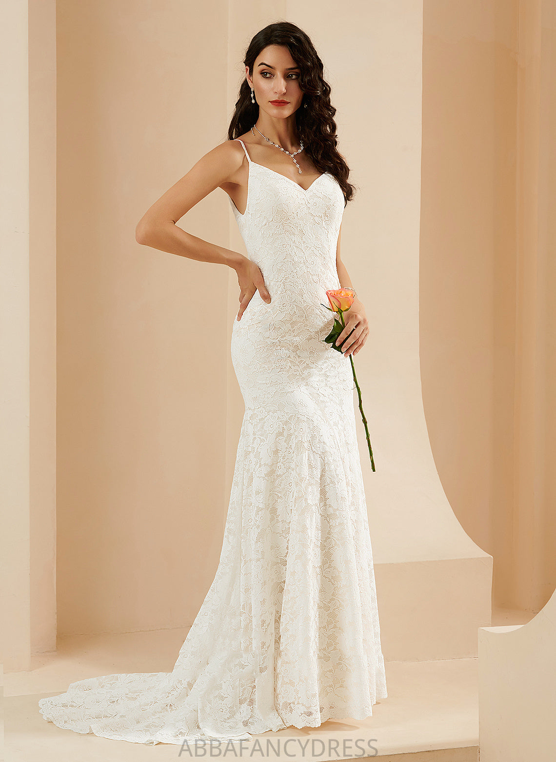 Viviana Wedding Wedding Dresses Train Dress V-neck Lace Trumpet/Mermaid Court