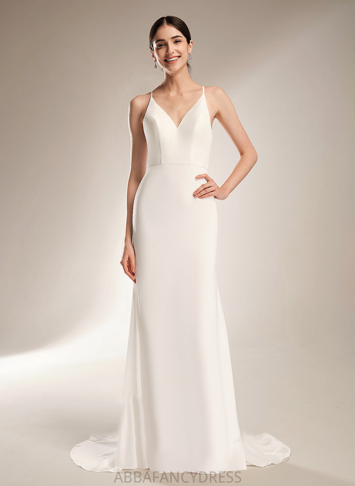 With Train V-neck Sheath/Column Wedding Dresses Chiffon Lace Court Dress Mandy Wedding